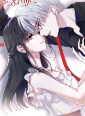 Bìa Vẫn cứ si mê