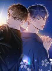 Bình Minh Sau Màn Đêm