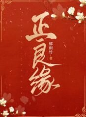 Lương Duyên Chính Mệnh